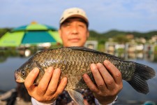 청춘어락 > 영흥도 내동 낚시터 : 낚시사랑