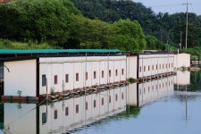 노아주 > 음성 상곡지 : 낚시사랑