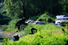 노아주 > 이천 성호지 : 낚시사랑