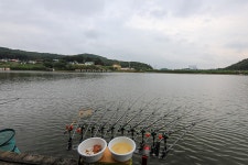 청춘어락 > 용인 삼인 낚시터 : 낚시사랑