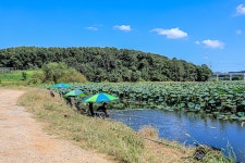 청춘어락 > 화성 동방 낚시터 : 낚시사랑