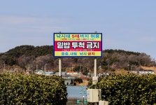 청춘어락 > 영흥도 내동 낚시터 : 낚시사랑