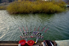 강호지락 > 금터좌대 : 낚시사랑