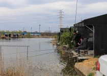 청춘어락 > 화성 노진 낚시터 : 낚시사랑