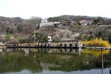 붕어도인 > 양평 세월낚시터 : 낚시사랑