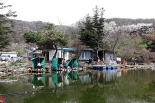 붕어도인 > 양평 세월낚시터 : 낚시사랑