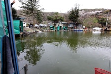 붕어도인 > 양평 세월낚시터 : 낚시사랑