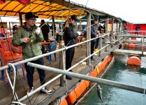 강호지락 > 미리내 좌대 낚시터 : 낚시사랑