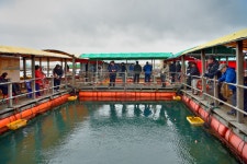 강호지락 > 미리내 좌대 낚시터 : 낚시사랑