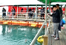 강호지락 > 미리내 좌대 낚시터 : 낚시사랑