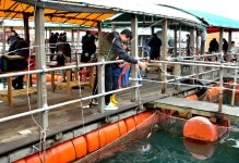 강호지락 > 미리내 좌대 낚시터 : 낚시사랑