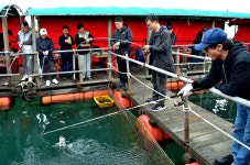 강호지락 > 미리내 좌대 낚시터 : 낚시사랑