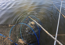 청춘어락 > 화성 동방 낚시터 : 낚시사랑