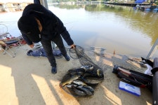 붕어도인 > 화성 고잔낚시터 : 낚시사랑