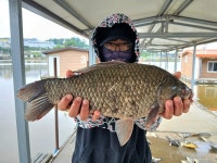 붕어도인 > 화성 고잔낚시터 : 낚시사랑