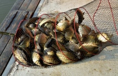 강호지락 > 고담 낚시터 : 낚시사랑