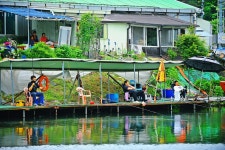 낚시사랑 > 광주 추곡낚시터 : 낚시사랑