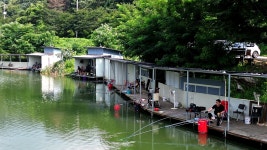 붕어도인 > 양평 그린낚시터 : 낚시사랑