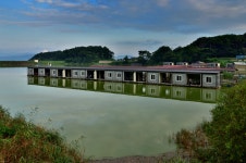 강호지락 > 황청 낚시터 : 낚시사랑