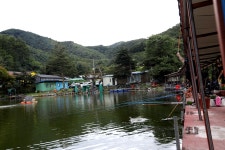 붕어도인 > 양평 세월낚시터 : 낚시사랑