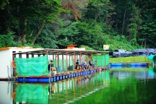 낚시사랑 > 광주 추곡낚시터 : 낚시사랑