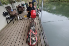 붕어도인 > 양평 그린낚시터 : 낚시사랑