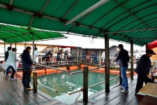 강호지락 > 미리내 좌대 낚시터 : 낚시사랑