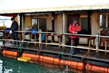 강호지락 > 미리내 좌대 낚시터 : 낚시사랑