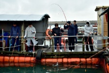 강호지락 > 미리내 좌대 낚시터 : 낚시사랑