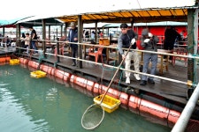 강호지락 > 미리내 좌대 낚시터 : 낚시사랑