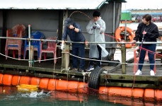 강호지락 > 미리내 좌대 낚시터 : 낚시사랑