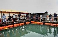 강호지락 > 미리내 좌대 낚시터 : 낚시사랑