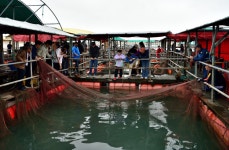 강호지락 > 미리내 좌대 낚시터 : 낚시사랑