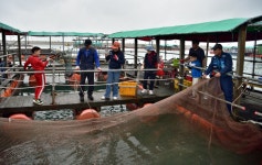 강호지락 > 미리내 좌대 낚시터 : 낚시사랑