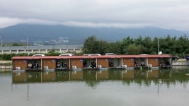 붕어도인 > 포천 쌍방죽낚시터 : 낚시사랑