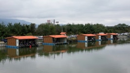 붕어도인 > 포천 쌍방죽낚시터 : 낚시사랑