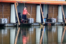 붕어도인 > 포천 쌍방죽낚시터 : 낚시사랑