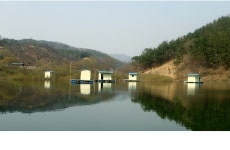 요룡지 > (행복낚시터) 공주 오늘 조황입니다. : 낚시사랑