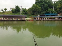 짜릿붕어 > 안성 명인낚시터에서... 정말 괜찮은 낚시터 발견!!!(손맛터) : 낚시사랑