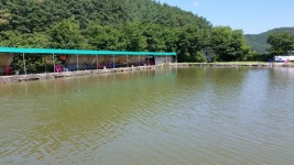 초보호야 > 2016년 파주 삼방낚시터 #1 : 낚시사랑