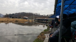 외봉바늘 > 남양주시 창포연못 낚시터 : 낚시사랑