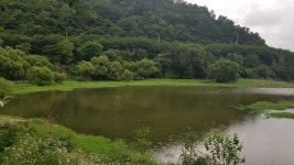 Hong가 > 서산 계곡지 다녀왔네요~!! : 낚시사랑