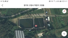 사구팔_서울금천 > 백두산낚시터 조행기 : 낚시사랑