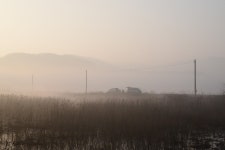 붕어PD > 겨울에도 물낚시가 가능한 수로~!! 태안 이원수로 포인트 검색~ : 낚시사랑