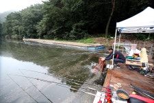 스파이더최 > 2020 / 08 / 22 광주 유정낚시터 조황 굿 입니다 : 낚시사랑