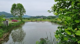 100호봉돌 > 충주 탄금호 입석낚시터 : 낚시사랑