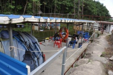 빨간풍차 > 동교낚시터 방류모습과 지감독의 스스유채비 테스트 : 낚시사랑