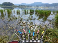 징크 > 태안 수룡지. 홍성 간월호 와룡천. : 낚시사랑