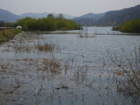 형제낚시 통신원속보 > 춘천호 거례리권 조황(토종월척2수) : 낚시사랑