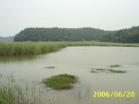 그린피싱 통신원속보 > 당진 대호만및 주변 저수지~~~~!! : 낚시사랑